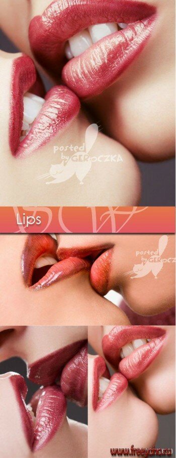   -   | Lips
