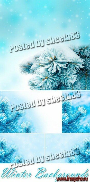       | Winter Backgrounds