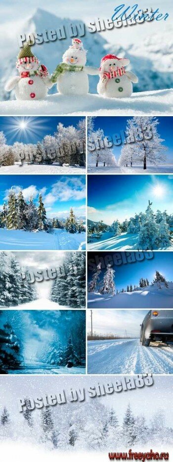   -   | Winter snow landscapes