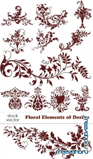   - Floral Elements of Design
