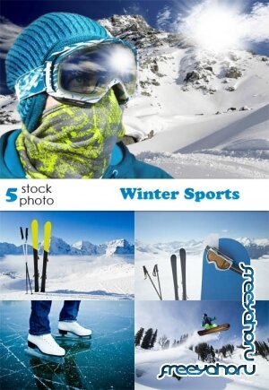   - Winter Sports